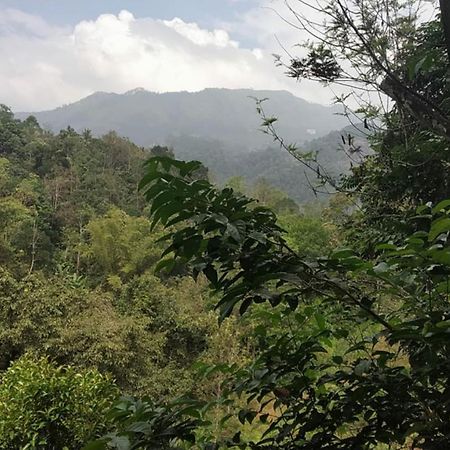 Moselberg Riverside Cottages Munnar Δωμάτιο φωτογραφία