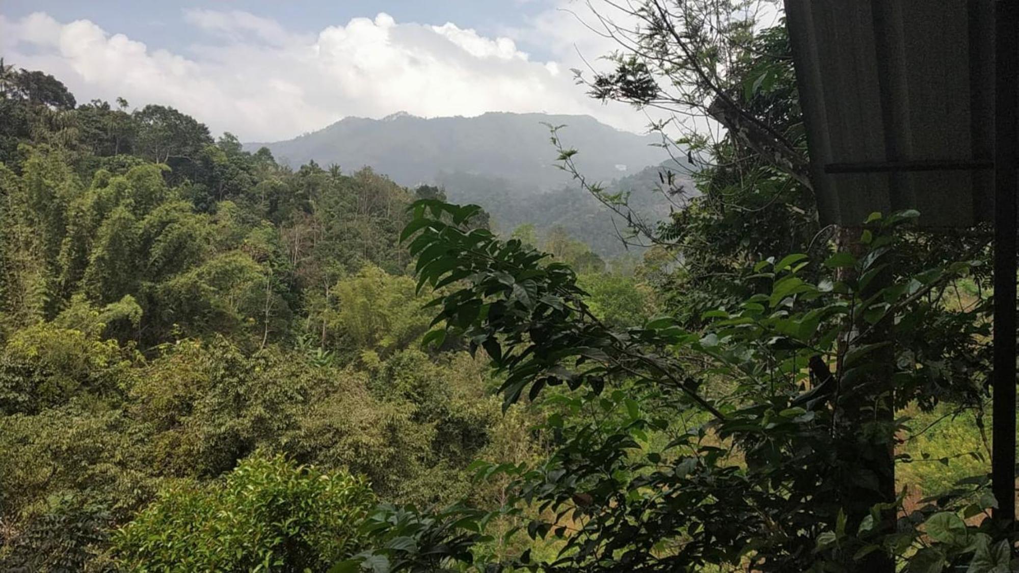 Moselberg Riverside Cottages Munnar Δωμάτιο φωτογραφία