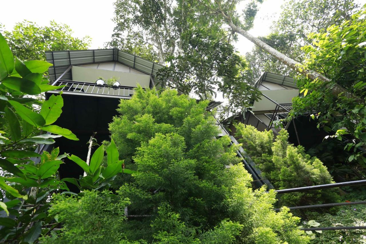 Moselberg Riverside Cottages Munnar Εξωτερικό φωτογραφία