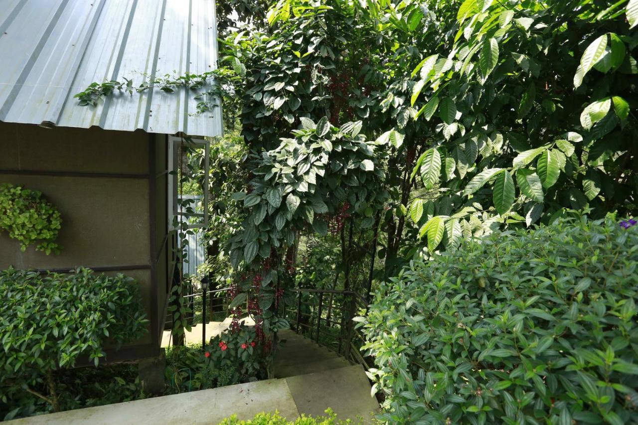 Moselberg Riverside Cottages Munnar Εξωτερικό φωτογραφία